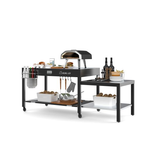 MULTI UTILITY TROLLEY 2
